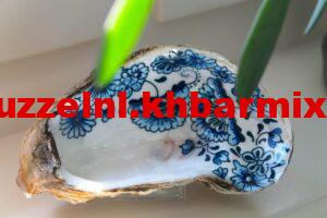 Wat zijn zeeuwse blauwen