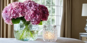 hortensia snoeien wanneer