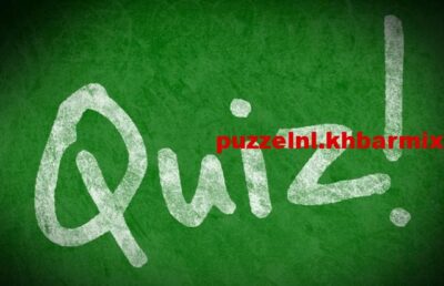 Van het werk 'Balloon Dog' zijn honderden exemplaren in verschillende kleuren gemaakt. Van wie is het