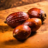 Boomvruchten of sufferds (6)