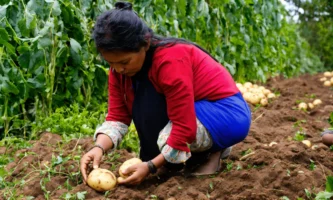 Dat beest moet gestopt worden (4)