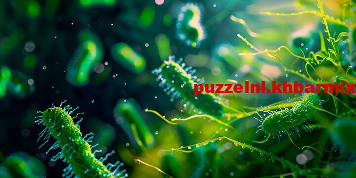 Eenvoudig organisme (6)