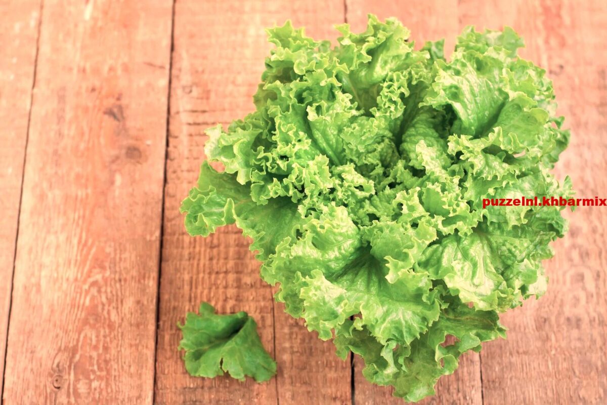 Ingredient van een kapsalon (3)