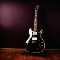 Ritmisch en melodisch basispatroon dat voortdurend herhaald wordt vaak gebruikt door gitaristen (4)