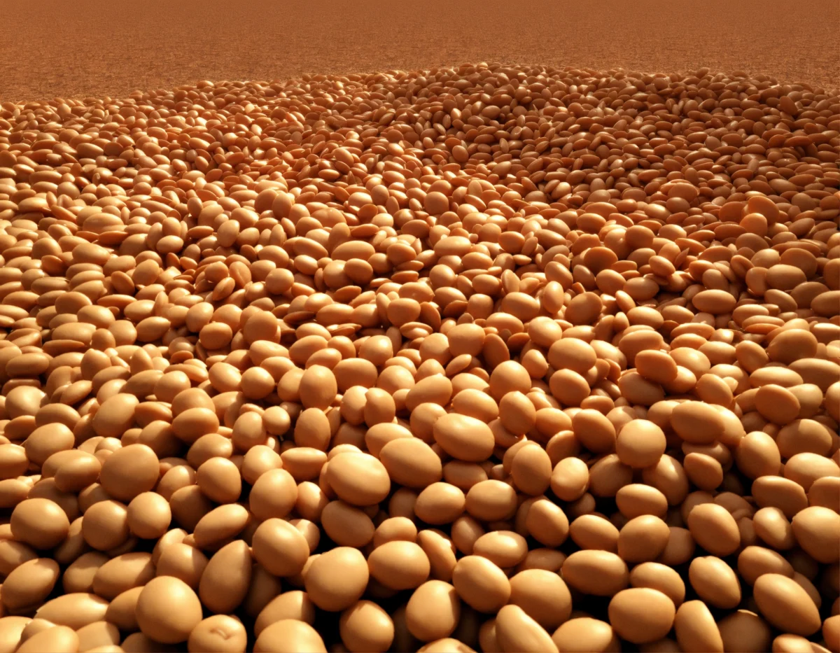 Uitgeperst vruchtvlees (4)