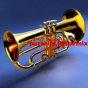 Wie-bedacht-de-contrabastuba-met-de-beker-naar-voren-5_Easy-Resize.com_-300x300 wie bedacht de contrabastuba met de beker naar voren?