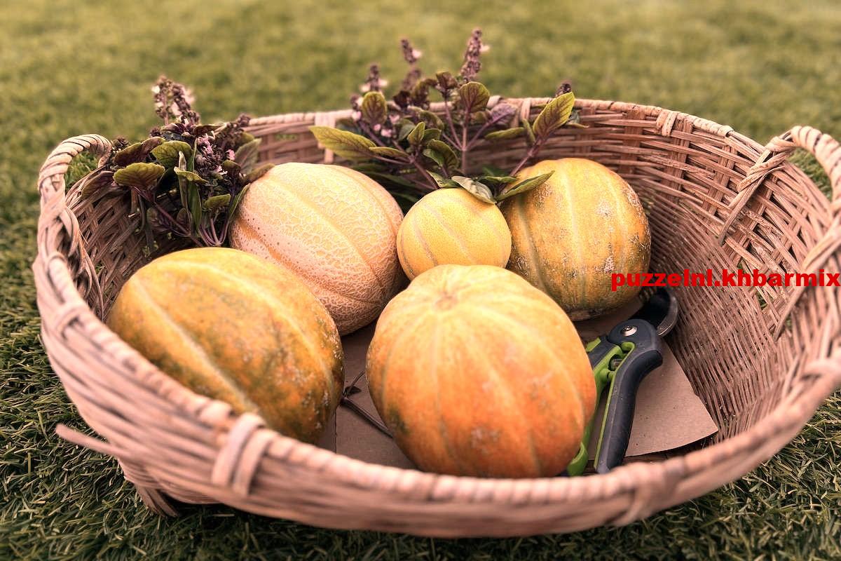 Worden in schijven verdeeld in een molen (8)