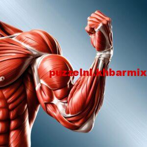 de-biceps-300x300 hoe wordt de tweehoofdige opperarmspier genoemd