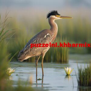 de-familie-300x300 vogel die van binnen erg onnozel is