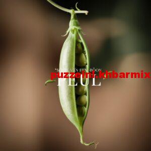 peul-300x300 schil van een boon 4 letters