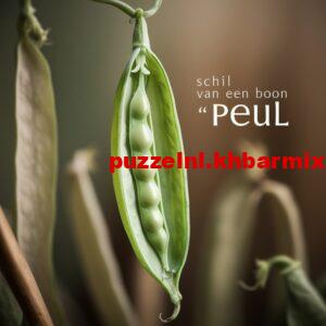 schil-van-een-boon-4-letters-300x300 schil van een boon 4 letters