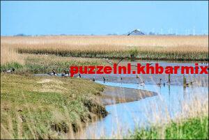 welke-duitse-rivier-mondt-uit-in-de-dollar-300x201 welke duitse rivier mondt uit in de dollar