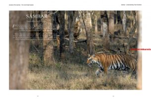 Boeken over de jacht. (13)