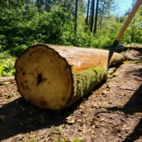 Dat is waardeloos maar zorgt wel voor ongezonde gezelligheid (9)