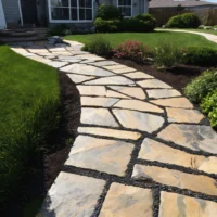 Die kei heeft zijn weg gevonden. (11)