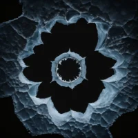 Geknoei met rorschachtests. (11)