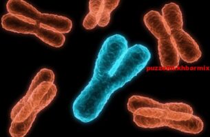 Heeft in de kern mannelijke eigenschappen. (11)