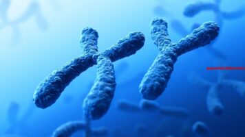 Heeft in de kern mannelijke eigenschappen. (13)