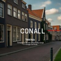 Hield gisteren huis in Nederland (6)