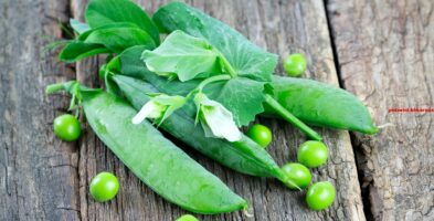 Inspringend peulvruchtje is ook kledingstuk goedheiligman (7)