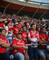 Liefhebbers van ventilatoren (4)