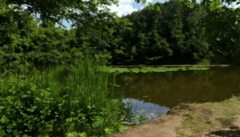 Natuurgebied dat van overheidswege in zijn natuurlijke staat wordt gehandhaafd (7)