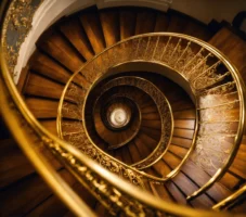 Runderen uit een deel van Gelderland beschut tegen de elementen. (3)