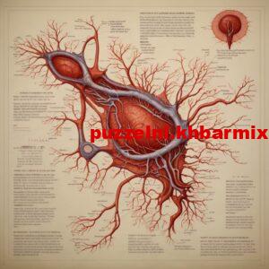 Wat-is-de-gangbare-naam-voor-een-bloedvat-4-300x300 Wat is de gangbare naam voor een bloedvat (4) letters? Cryptogram