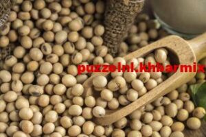 Wat is de grondstof voor de vleesvervangers tofoe en tempeh (4)