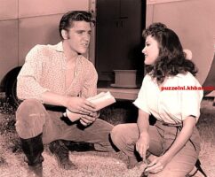 Wat is de titel van Elvis' eerste film die uitkwam in 1956 (12)