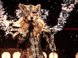 Wie is wolf masked singer