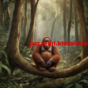 wat-is-de-letterlijke-betekenis-van-orang-oetan-300x300 wat is de letterlijke betekenis van orang-oetan?