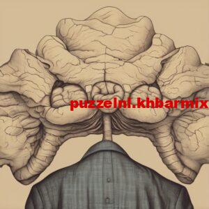 wat-wordt-beschouwd-als-het-slimste-dier-ter-wereld-1-300x300 wat wordt beschouwd als het slimste dier ter wereld?