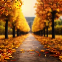 Akelig om een bevestiging tussen zomer en winter te krijgen. (6)