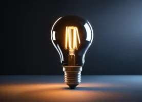 De eerste strik voor de borgtocht (4)