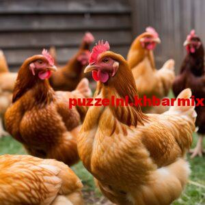 De-kip-die-dit-zacht-en-harmonisch-doet-zou-gelukkig-zijn-6-letters-300x300 De kip die dit zacht en harmonisch doet, zou gelukkig zijn (6) letters