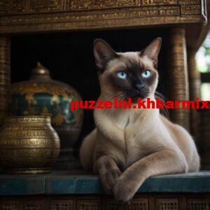 Fokkers-noemen-dit-kattenras-de-traditionele-siamees.-4-letters-300x300 Fokkers noemen dit kattenras de traditionele siamees. (4) letters