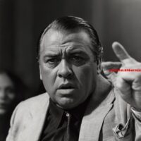 Het was een kei die het varkentje dodelijk trof (7)