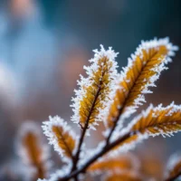 Iets dierlijks en plantaardigs dat in de lente verschijnt (5)