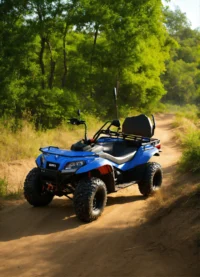 Klein vierwielig motorrijtuig (4)