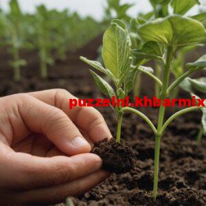 Tegenpool-van-een-wasmiddel.-11-300x300 Tegenpool van een wasmiddel. (11) letters?