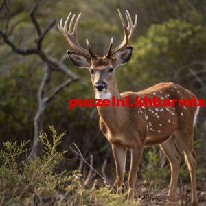 dit-is-het-grootste-op-curacao-voorkomende-zoogdier-300x300 dit is het grootste op curaçao voorkomende zoogdier