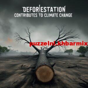 hoe-draagt-het-kappen-van-bossen-bij-aan-klimaatverandering-300x300 hoe draagt het kappen van bossen bij aan klimaatverandering?