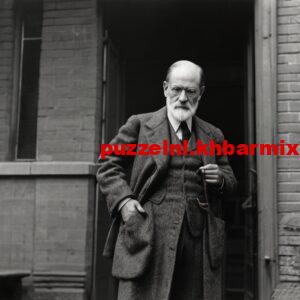 hoe-heet-de-wetenschap-waarmee-freud-zich-bezighield-300x300 hoe heet de wetenschap waarmee freud zich bezighield?