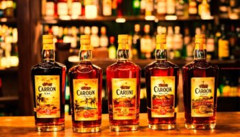 Franse alcoholhoudende anijsdrank (6)