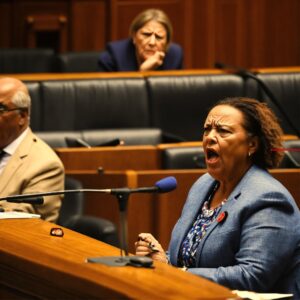 Nam in tranen afscheid van politiek