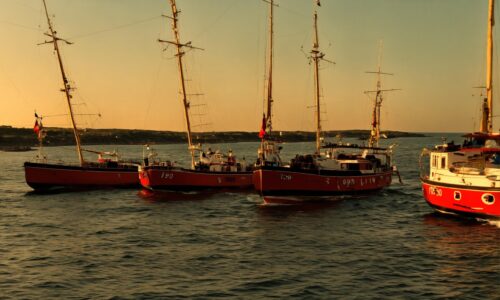 Waar bevindt zich de vaste ligplaats van De Groene Draeck (6)