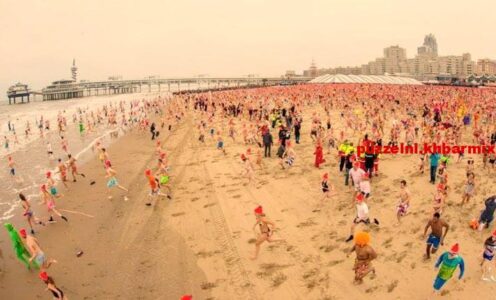 Welk merk sponsort de nieuwjaarsduik in Scheveningen