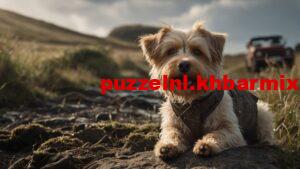 hoe-heet-het-hondje-van-floddertje-9-letters-300x169 hoe heet het hondje van floddertje 9 letters?