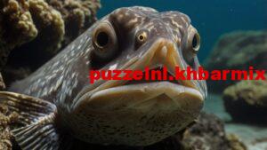 welke-platvis-is-bedekt-met-benige-knobbels-300x169 welke platvis is bedekt met benige knobbels 6 letters?